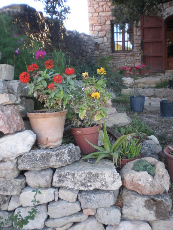 Mas Del Salin Villa Cornudella de Montsant Luaran gambar